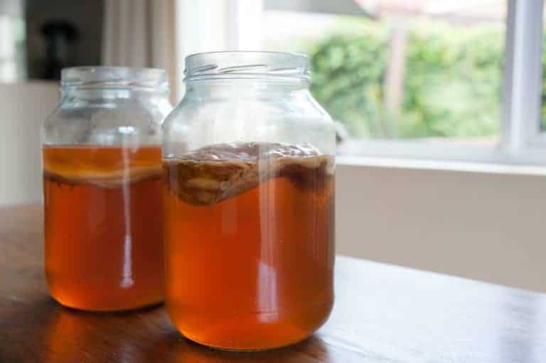 Can Kombucha Help with Weight Loss?