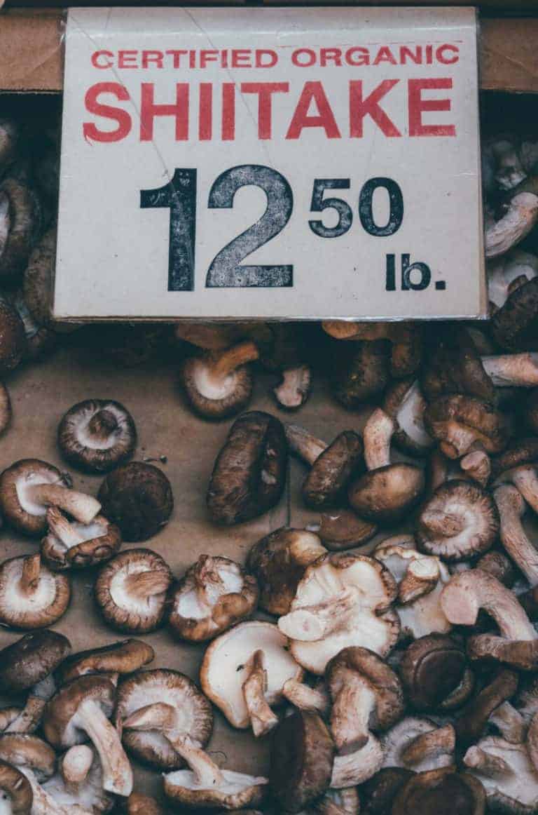 A Comprehensive Guide to Shiitake Mushrooms